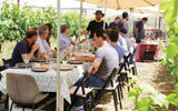 A barbecue was held for the group at a vineyard in the Golan Heights.