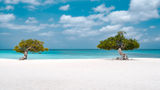 Fofoti trees at Eagle Beach on Aruba. Aruba has implemented a $20 sustainability fee per person for visitors arriving by air.