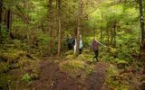 Exploring the Ketchikan wilderness on one of Holland America's 175+ wildlife and wilderness tours