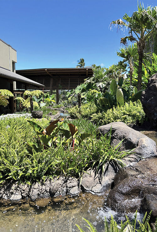 Greenery is the focal point around and inside the Kauai resort.