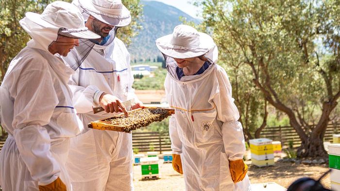 Guests beekeeping at Moku Honey MAKE TRAVEL MATTER® Experience in Delphi, Greece. Courtesy of Trafalgar