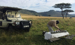 Only authorized safari vehicles like this will now traverse the Masai Mara, protecting the ecosystem and improving visitor experience.