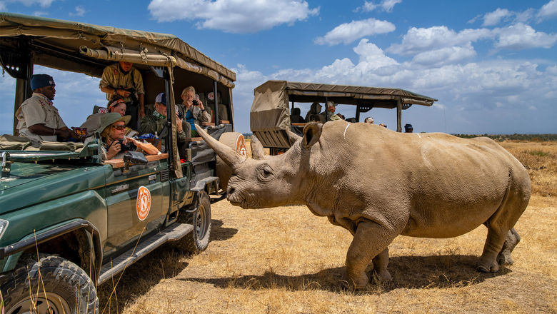 Nat Hab guests and Northern White Rhino, Ol Pejeta Private Conservancy, Kenya.