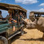 New Natural Habitat safari includes a visit with the last of the northern white rhinos