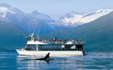 Orca spotting opportunities are one many reasons Holland America is #1 in Wildlife and Wilderness tours