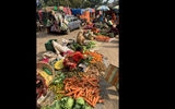 The cruise visited a local market near Matiari where all manner of Indian vegetables were sold, including many types of greens, tomatoes, carrots, potatoes, ginger, onions, cauliflower and more.