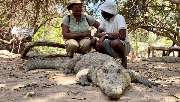 Tours editor Nicole Edenedo gets up-close and personal with a crocodile at Kachikally Crocodile Pool during a call on Variety Cruises' West Africa itinerary.